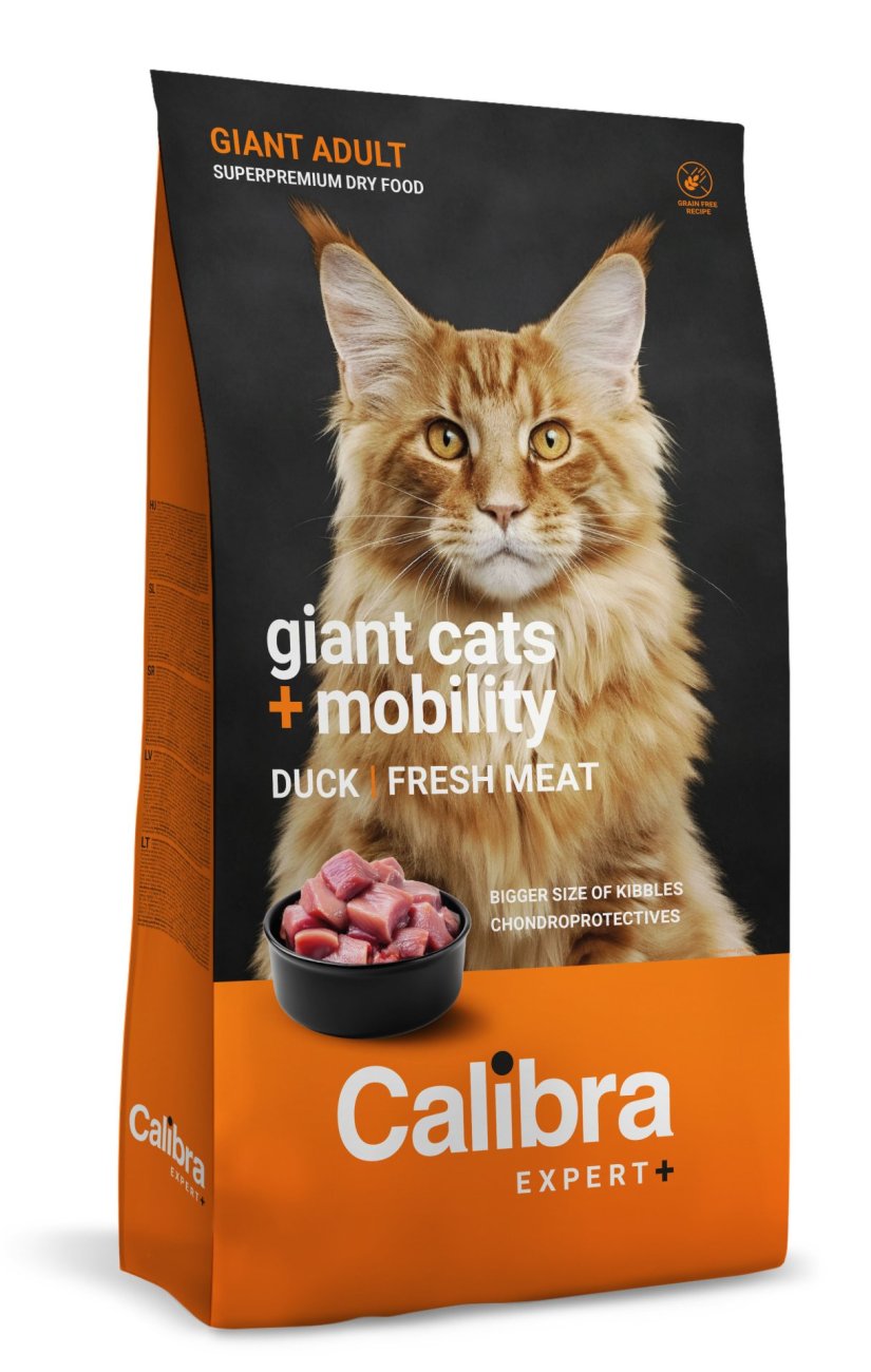 Calibra Cat EXPERT+ Adult Giant Cats & Mobility – Trockenfutter für Katzen 6 kg